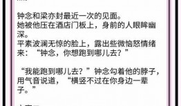 娱乐圈小说推荐爆料男主